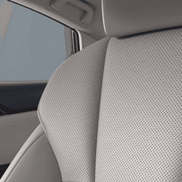 insight Seat Texture