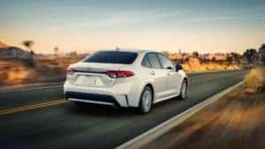 Toyota_Corolla_Driving_Country_Road