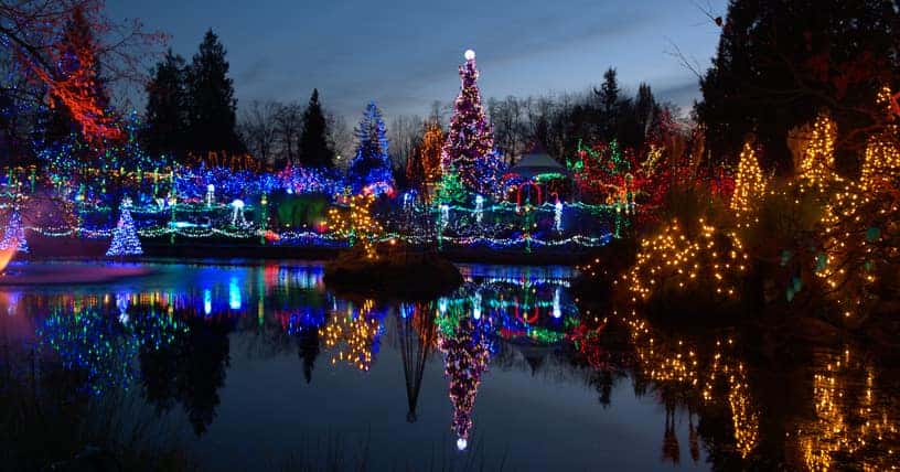 Christmas light display