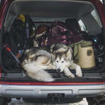 4RUNNER_Galleryimg.7