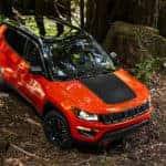 jeep woods