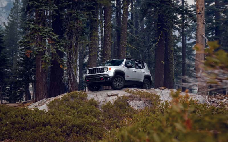 2021 Jeep Renegade Trailhawk Glacier Metallic with Trees