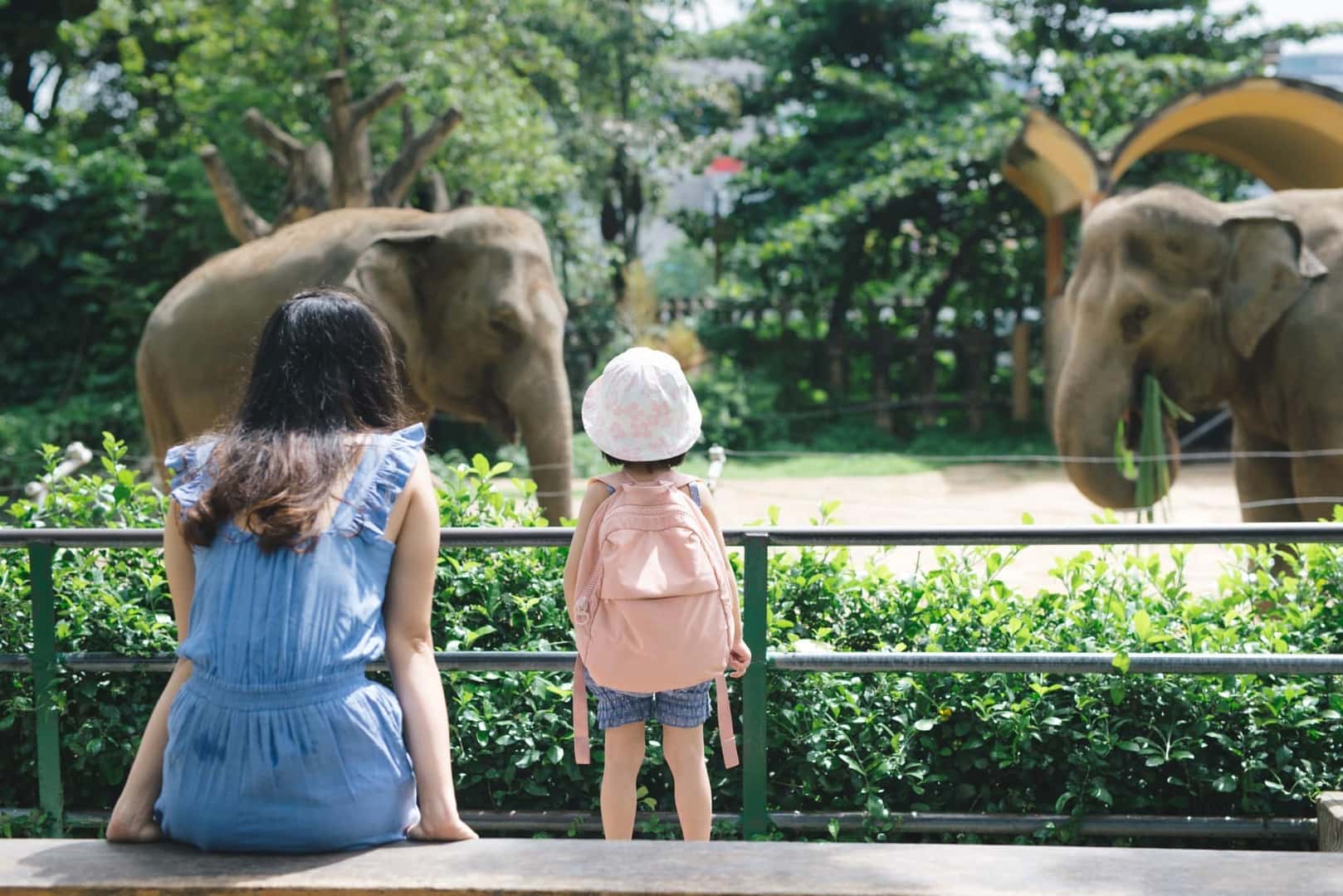 Mom and daughter at the zoo