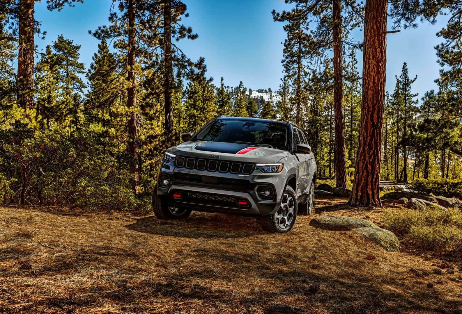 2022 Jeep Compass in the Forest