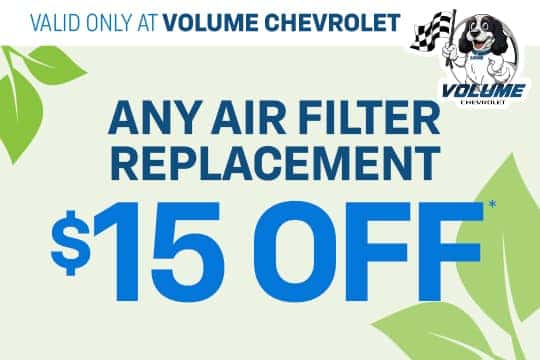 Any Air Filter Replacement $15 OFF*