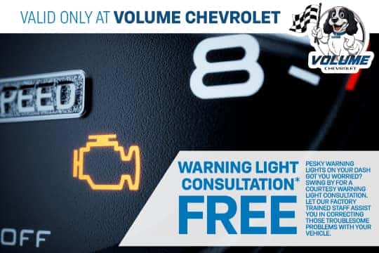 FREE Warning Light Consultation\*