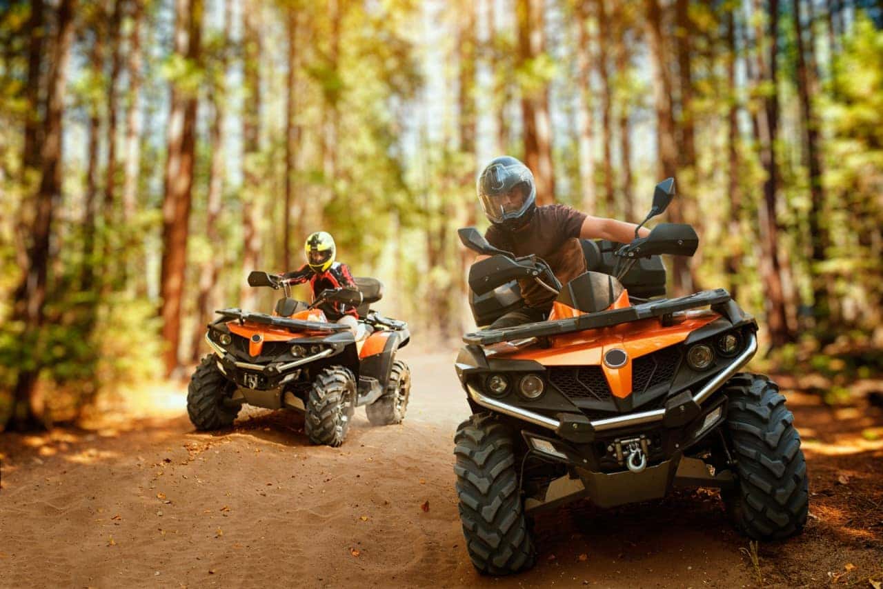 Discover The Best ATVs For Hunting In 2020 Westshore Marine & Leisure