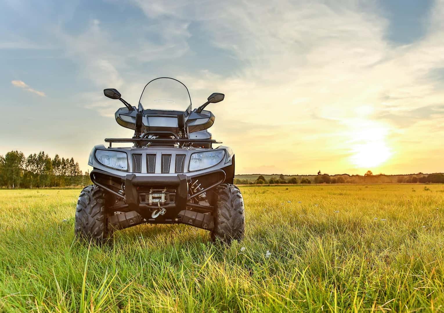 ATV's A Look at the Top ATVs of 2021 Westshore Marine & Leisure