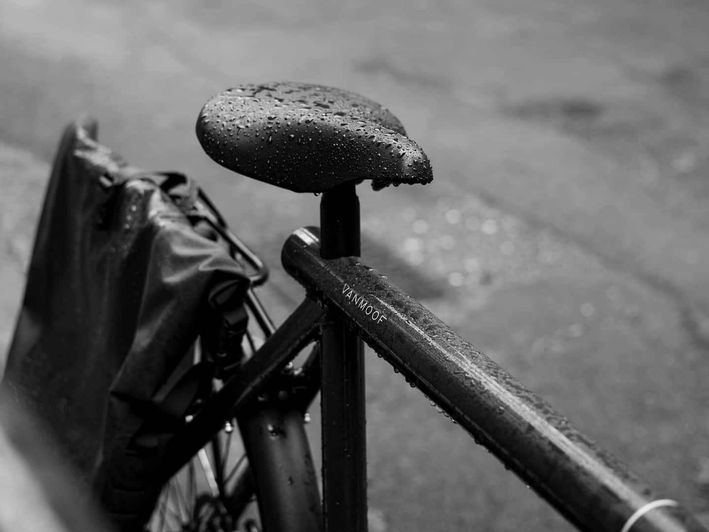 Can You Use an Electric Bike in the Rain?