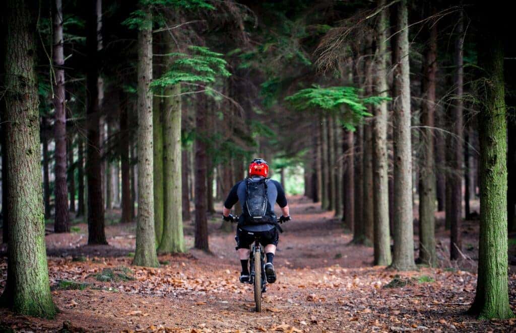 Purchasing Electric Bikes