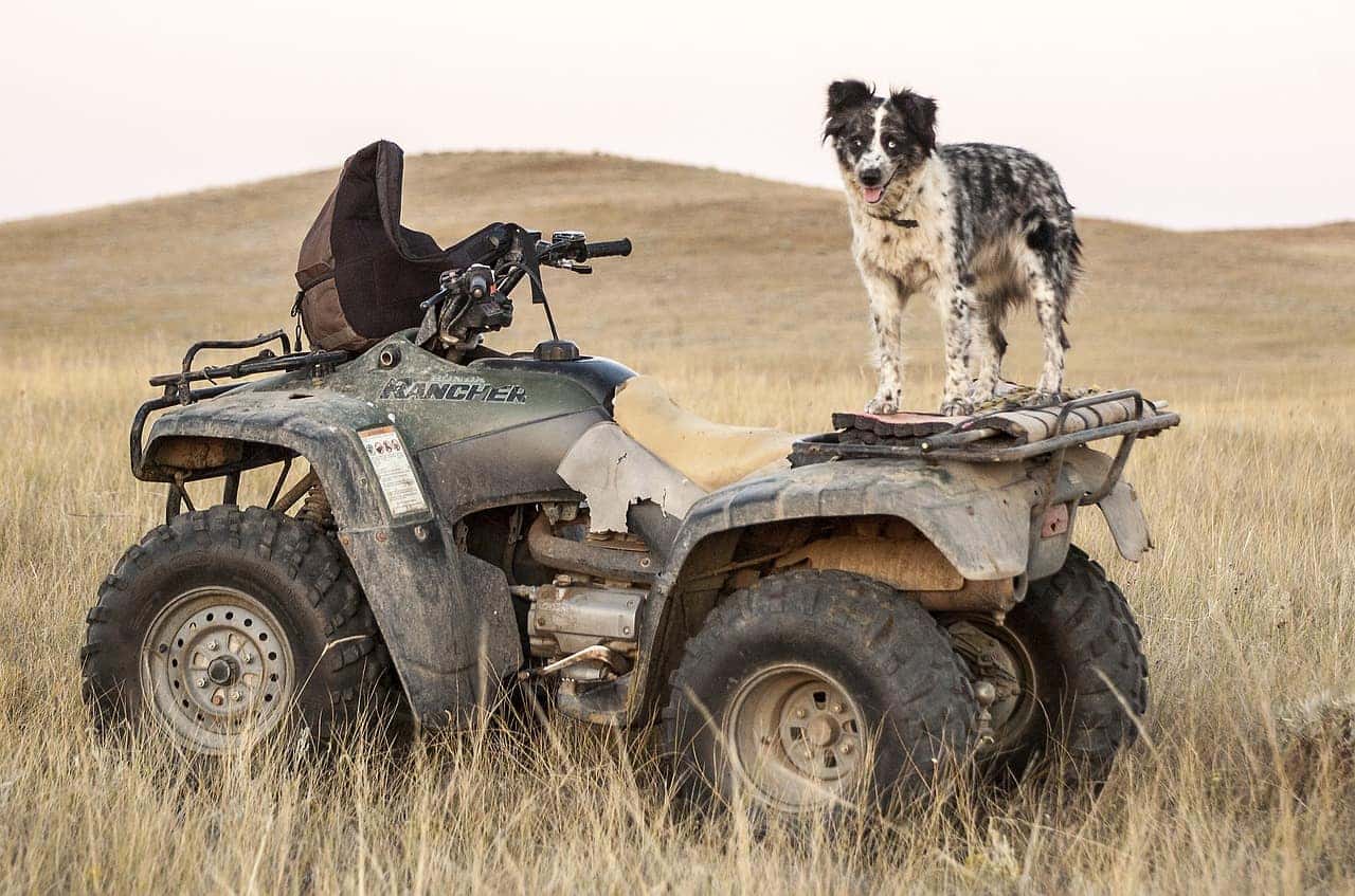 Pros and Cons of ATVs and UTVs