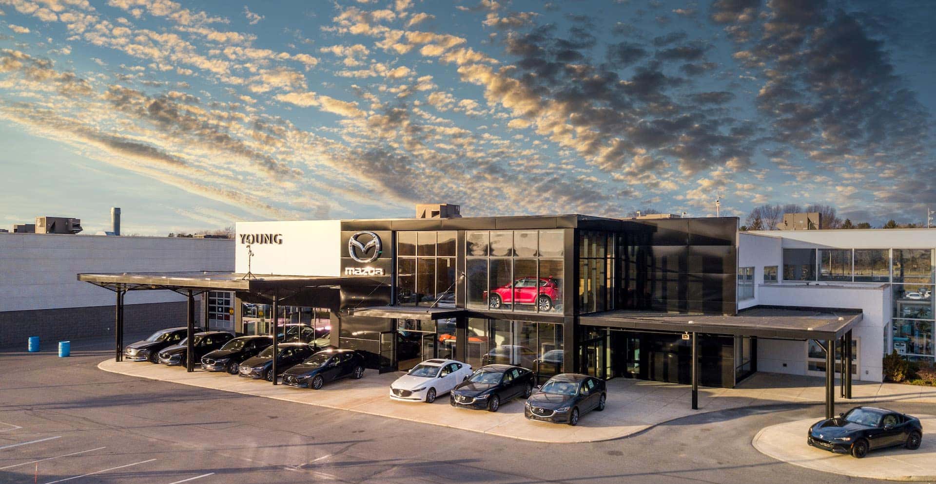 Young Mazda Mazda Dealer in Easton, PA